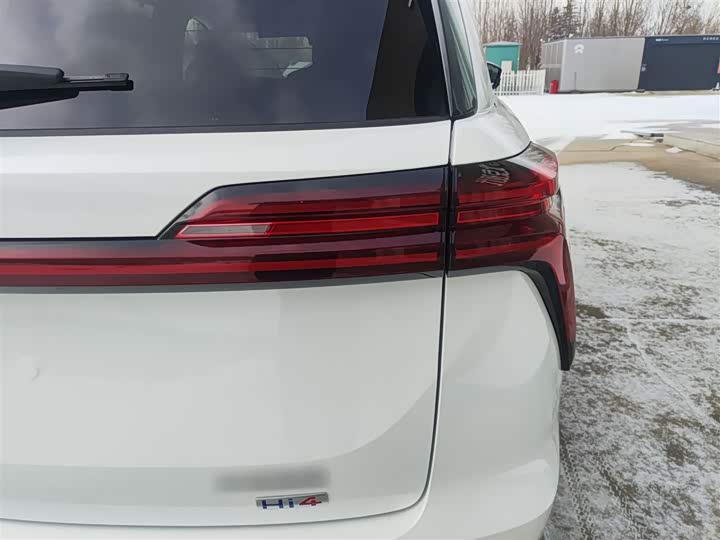 Фото 8 - Wey Lanshan