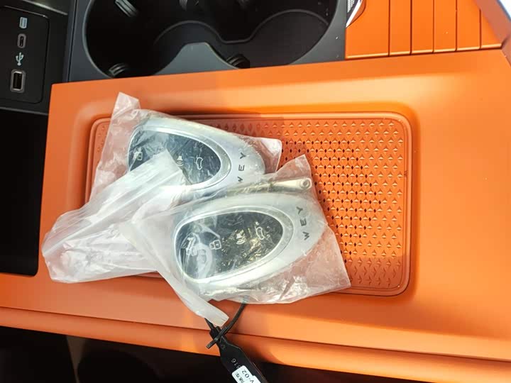 Фото 9 - Wey Lanshan