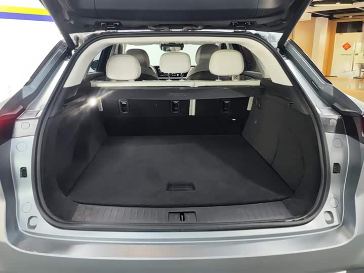 Фото 4 - Exeed RX C-DM Hybrid