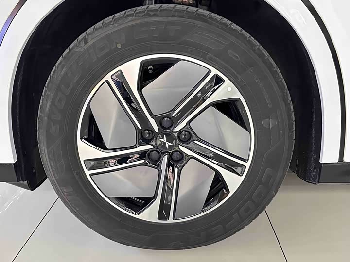 Фото 5 - XPeng G6