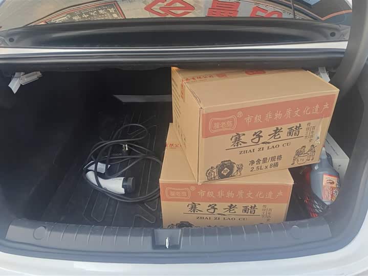 Фото 4 - BYD Qin Plus