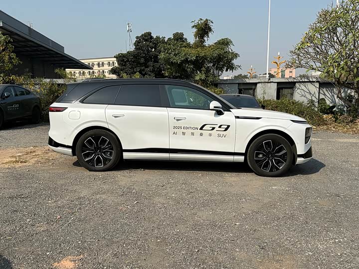 Фото 4 - XPeng G9