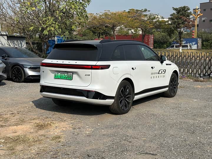 Фото 5 - XPeng G9