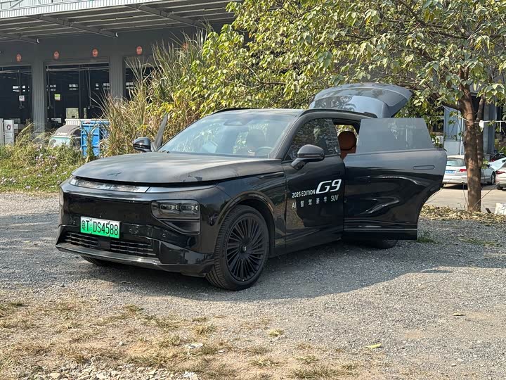 Фото 1 - XPeng G9