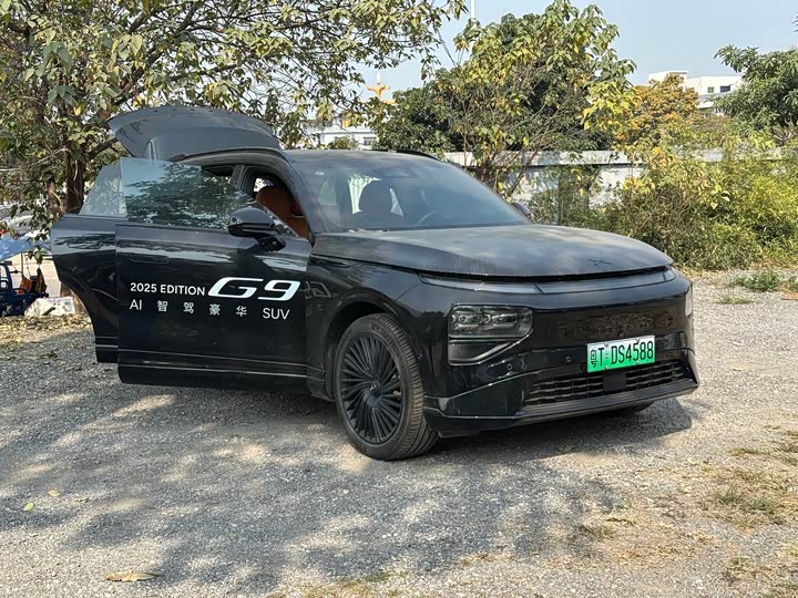 Фото 3 - XPeng G9