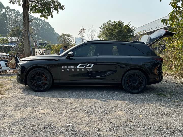 Фото 4 - XPeng G9