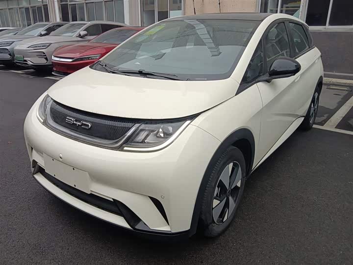 Фото 1 - BYD Dolphin