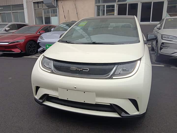 Фото 3 - BYD Dolphin