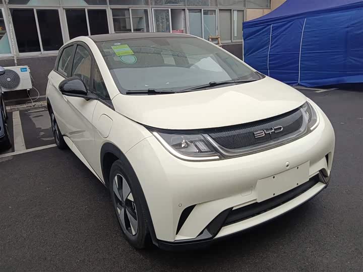 Фото 4 - BYD Dolphin