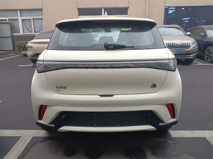 Фото 6 - BYD Dolphin