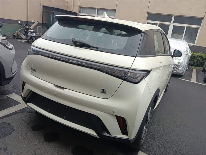 Фото 7 - BYD Dolphin