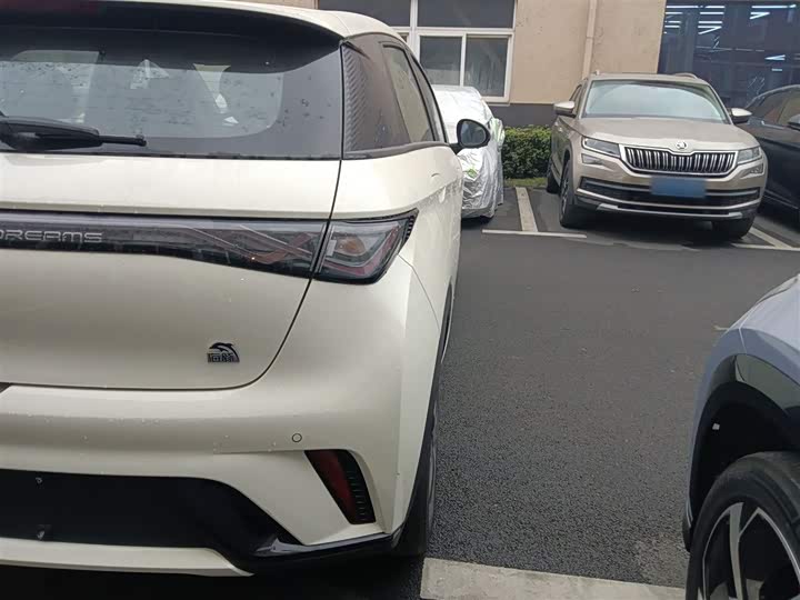 Фото 8 - BYD Dolphin