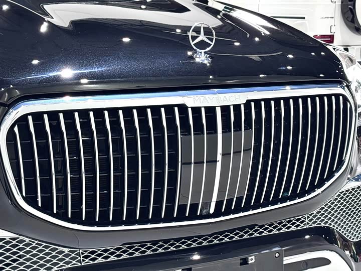 Фото 9 - Mercedes-Benz Maybach GLS