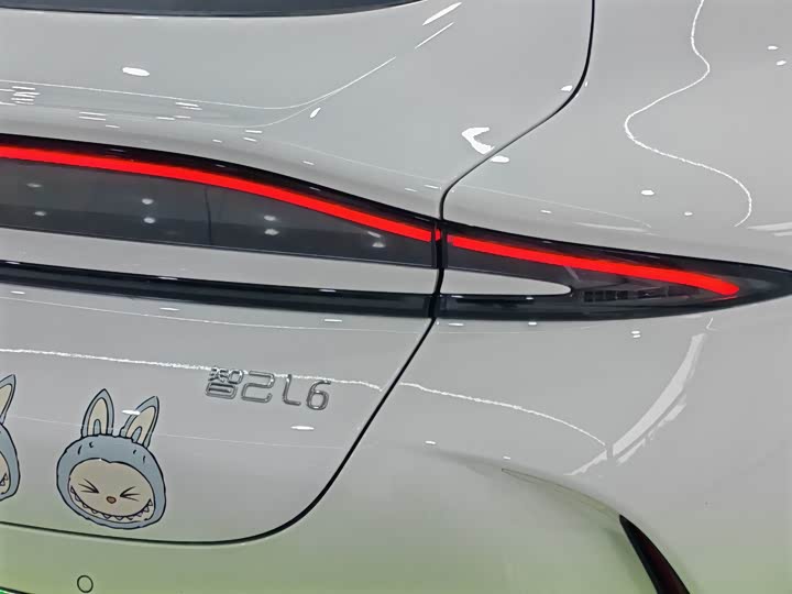 Фото 6 - IM motors L6