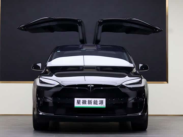 Фото 2 - Tesla Model X