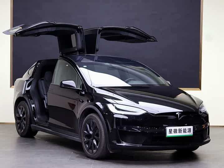 Фото 3 - Tesla Model X