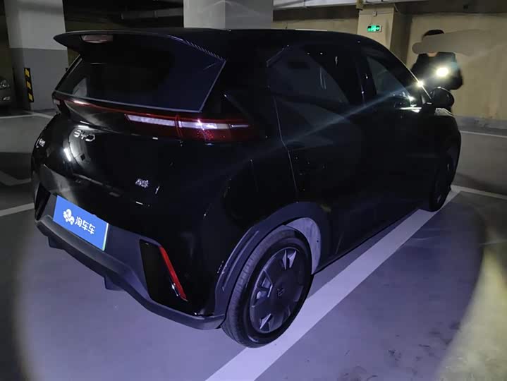 Фото 3 - BYD Seagull