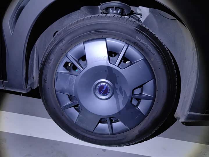 Фото 6 - BYD Seagull