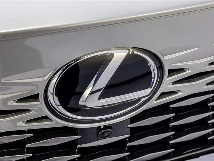 Фото 6 - Lexus RX