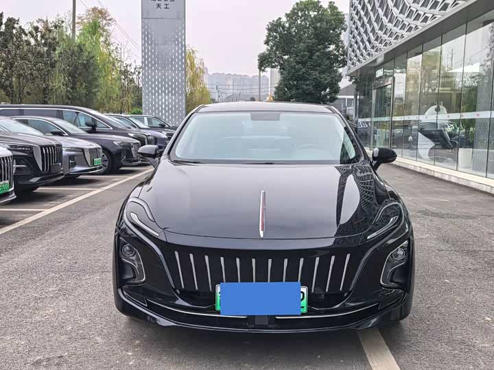 Фото 2 - Hongqi E-QM5