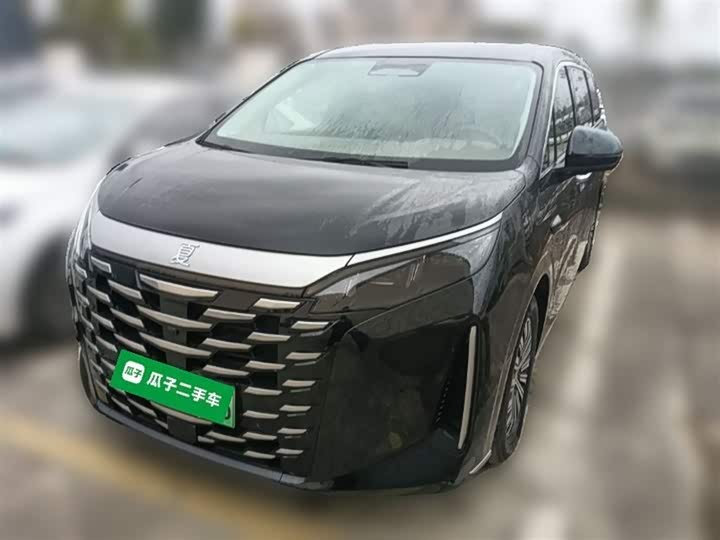 Фото 3 - BYD Xia