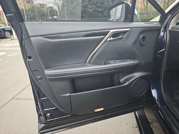 Фото 6 - Lexus RX