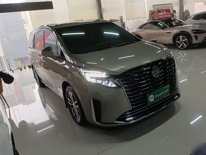 Фото 4 - Buick GL8 ES