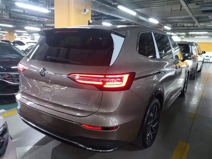 Фото 7 - Volkswagen Viloran