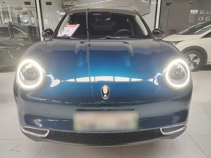 Фото 3 - Ora Good Cat (03)