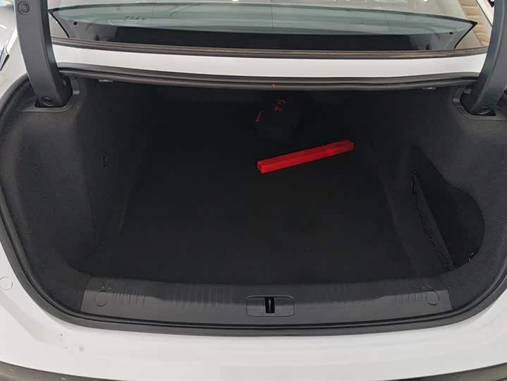 Фото 4 - Hongqi EH7