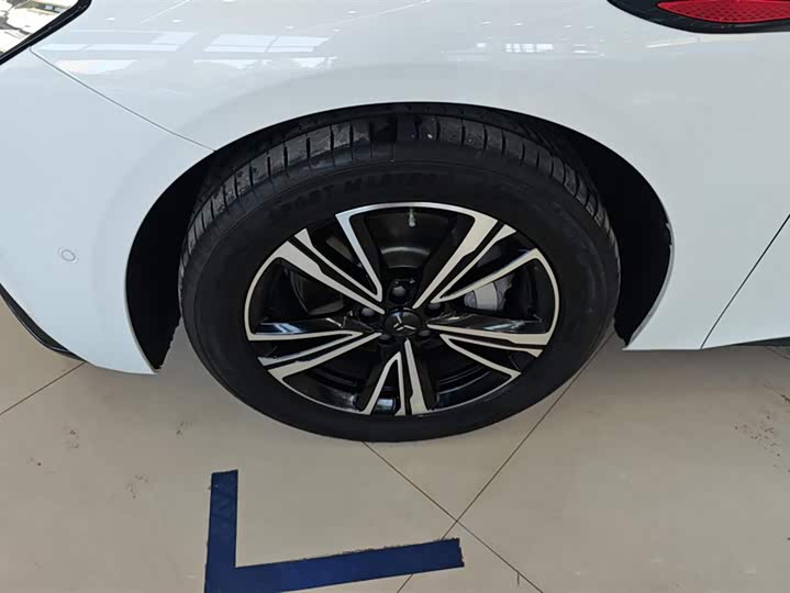 Фото 6 - Hongqi EH7