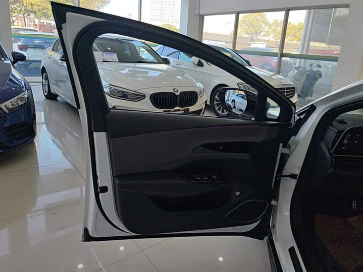 Фото 7 - Hongqi EH7