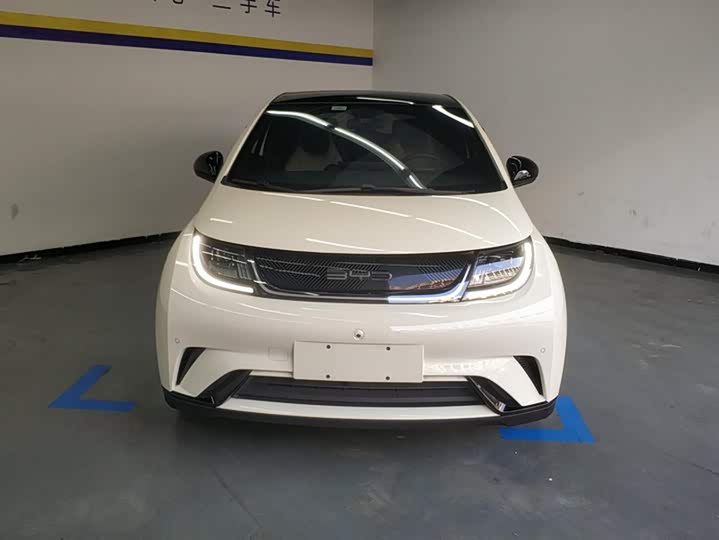 Фото 2 - BYD Dolphin