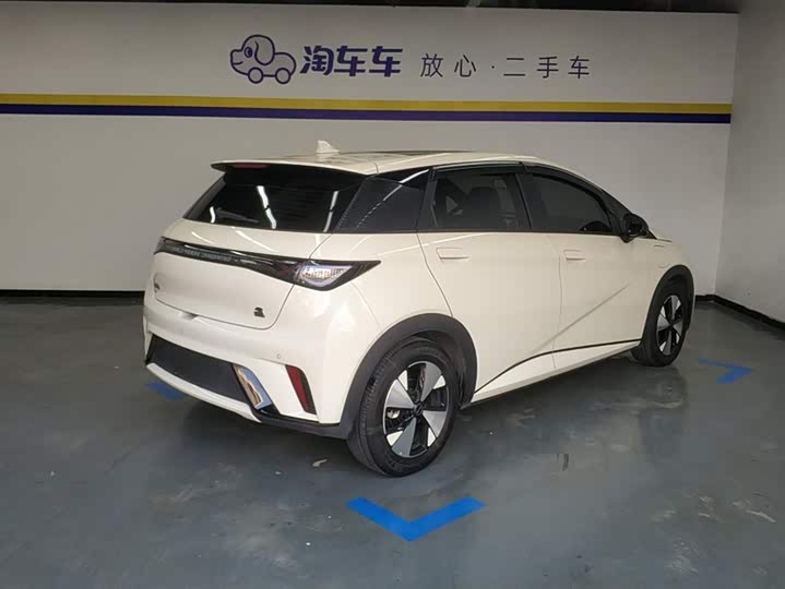 Фото 3 - BYD Dolphin