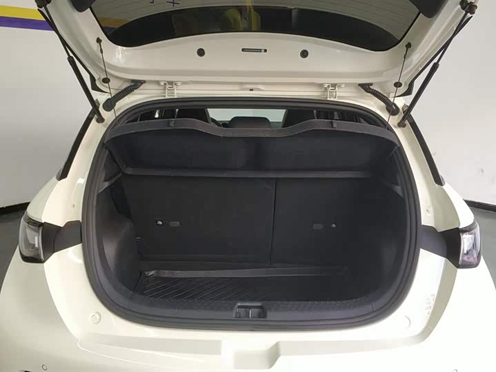 Фото 4 - BYD Dolphin