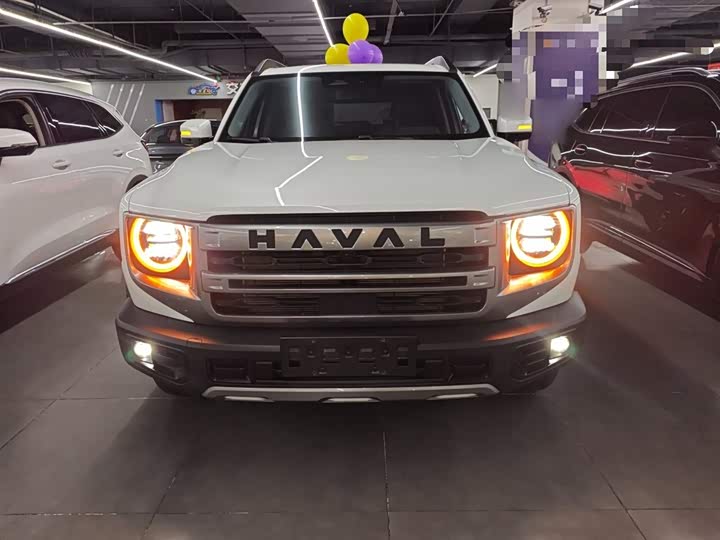 Фото 3 - Haval Dargo