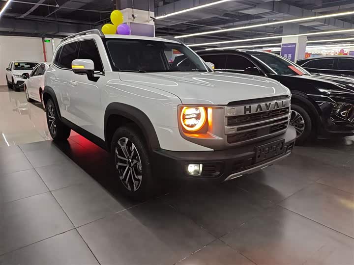 Фото 4 - Haval Dargo