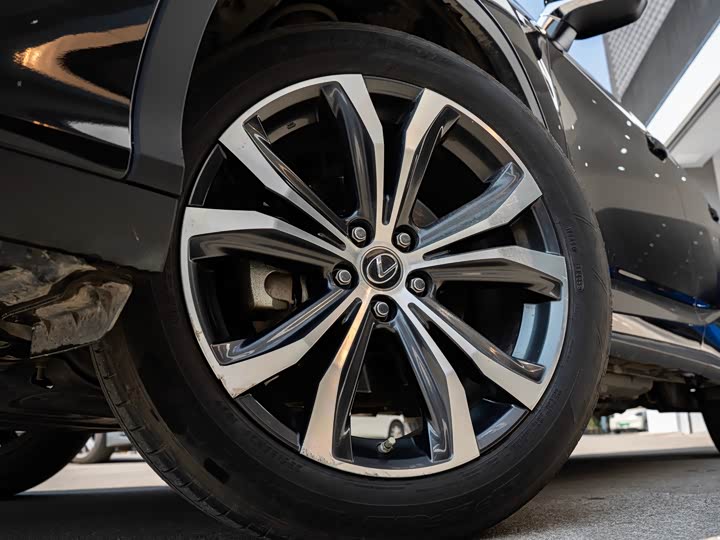 Фото 5 - Lexus RX