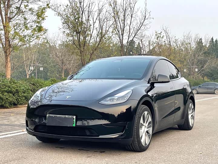 Фото 1 - Tesla Model Y