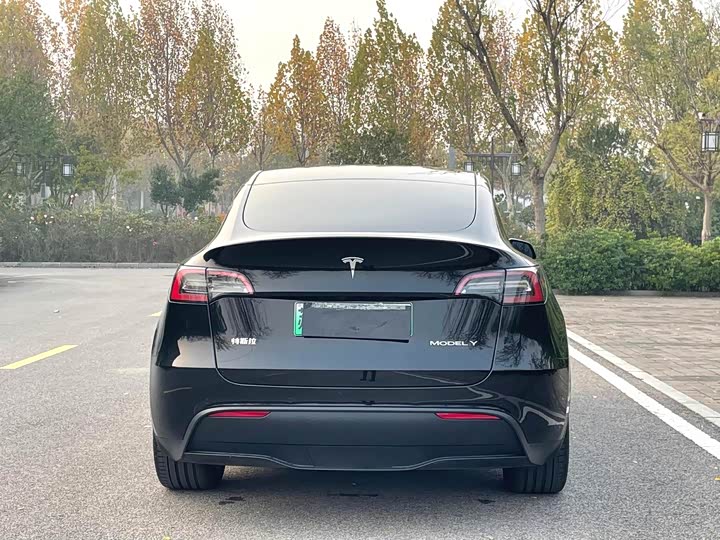 Фото 5 - Tesla Model Y