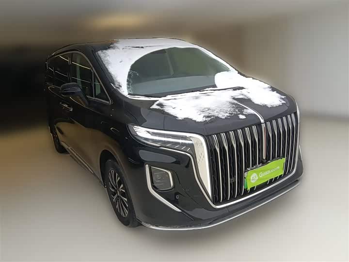 Фото 7 - Hongqi HQ9 Hybrid