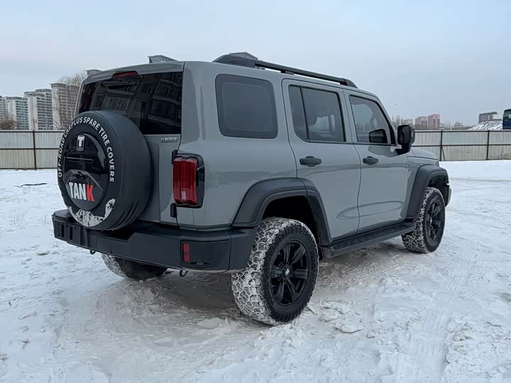 Фото 4 - Tank 300