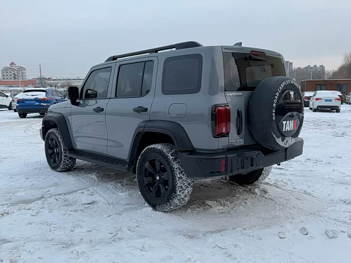 Фото 5 - Tank 300