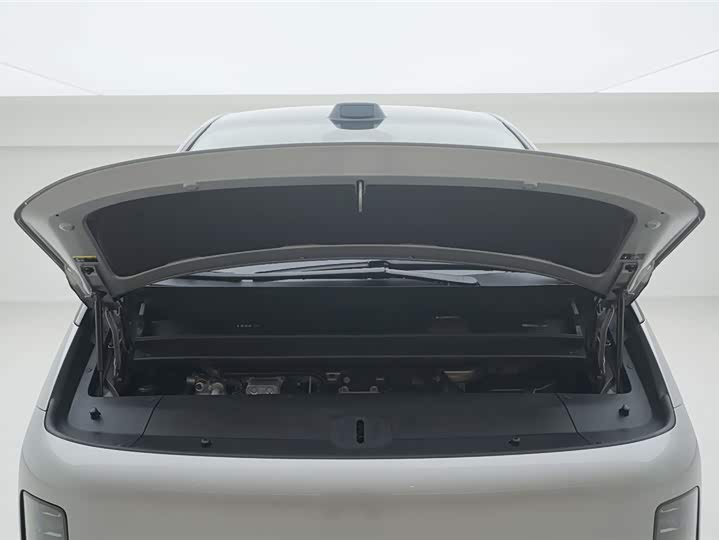 Фото 7 - LiXiang Mega