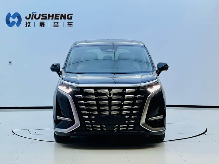 Фото 2 - Denza D9