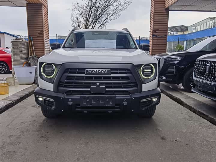 Фото 2 - Haval Dargo