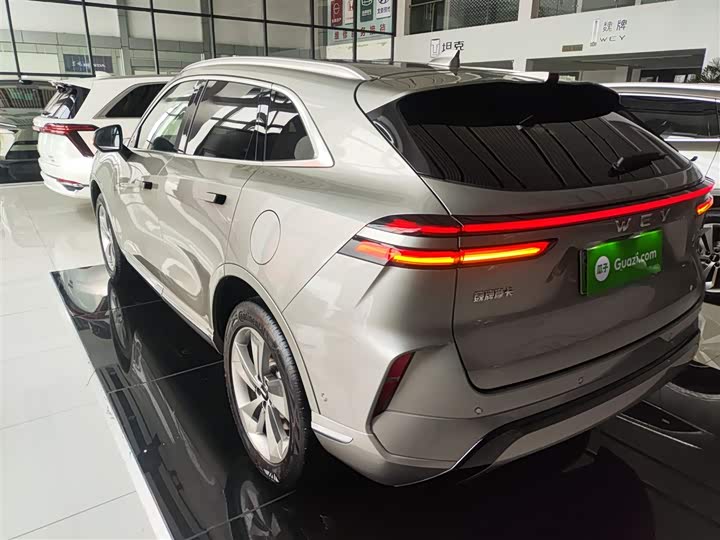 Фото 5 - Wey Mocca Hybrid