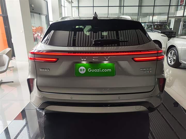 Фото 6 - Wey Mocca Hybrid