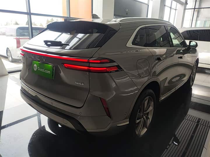 Фото 7 - Wey Mocca Hybrid