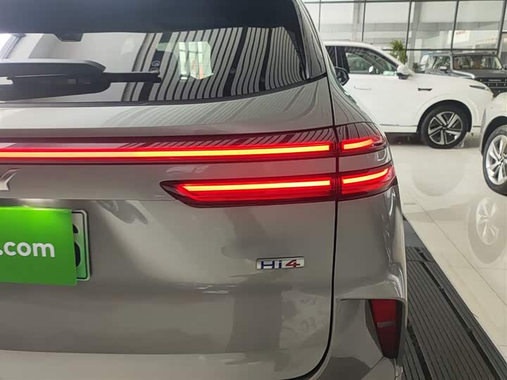 Фото 8 - Wey Mocca Hybrid